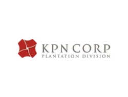 Lowongan Kerja KPN Corp – Plantation Division