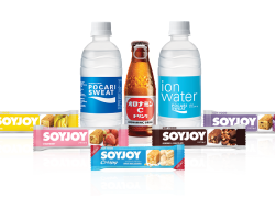 PT Amerta Indah Otsuka